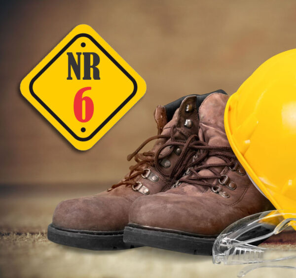 NR 06 – EPI
